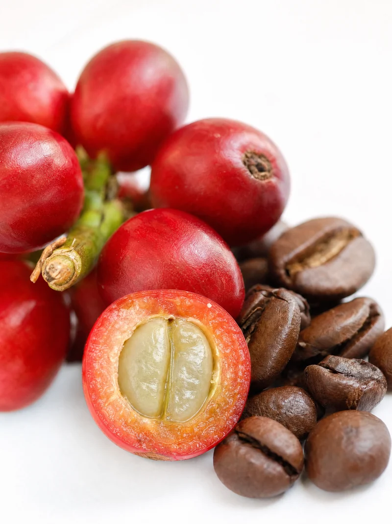 Ripe red coffee cherries, one sliced open to show the bean inside, beside roasted beans
